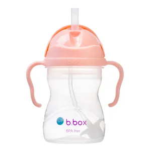 B.Box - Sippy Cup Tutti Fruiti