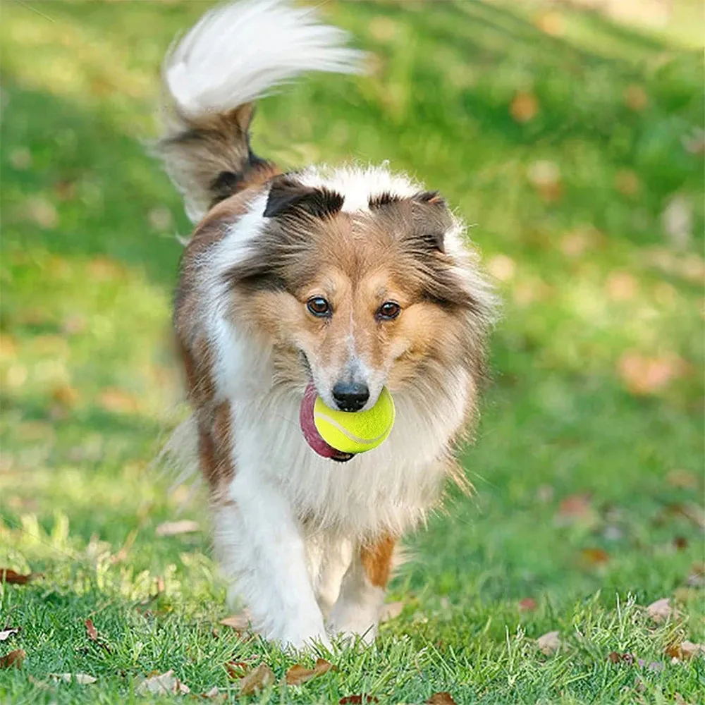 Dog Balls for Tennis Ball Launcher 6 or 12 piece set active dog ball set gift for dog lover playtime ball