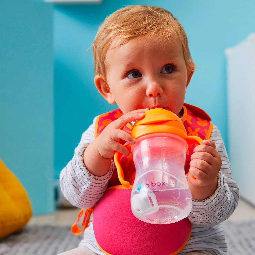 sippy cup - orange zing