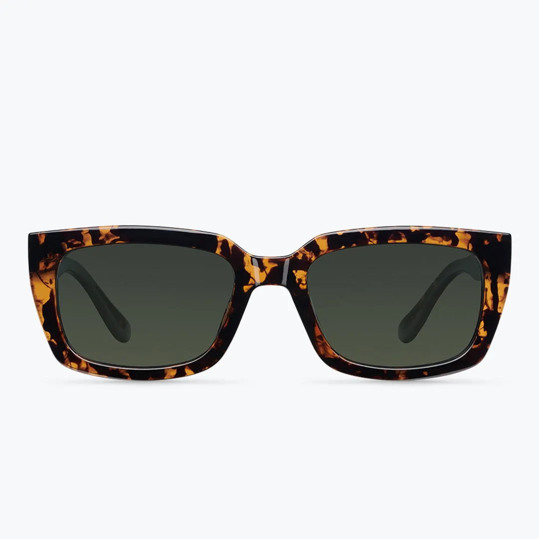 Sunglasses Johari Tigris Olive